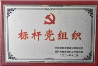 公司党支部获“湖南省两新领域标杆党组织”荣誉称号